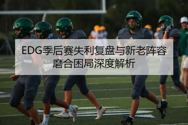 EDG季后赛失利复盘与新老阵容磨合困局深度解析